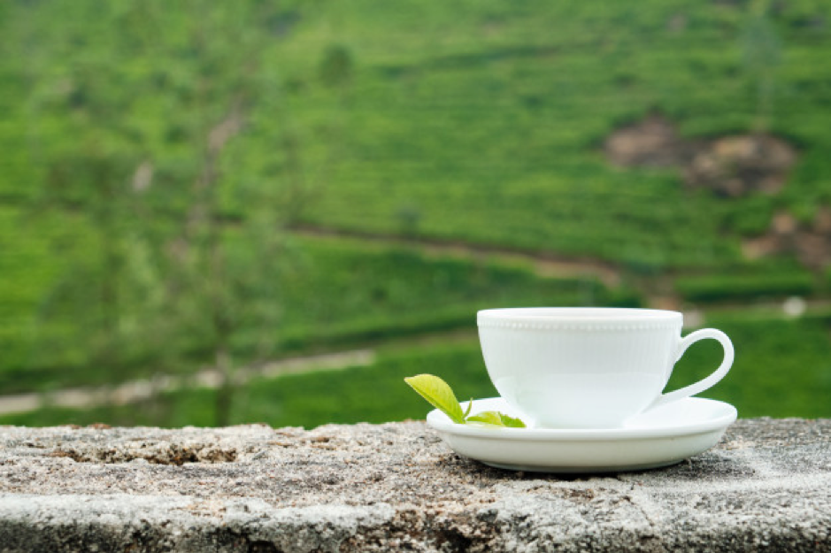 綠茶健康