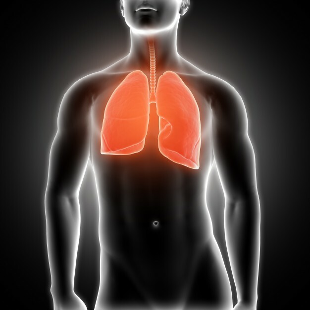 間質性肺病