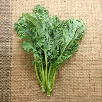 改善體臭 | 6大令身體發臭的食物 高纖蔬菜少吃為妙｜新城健康