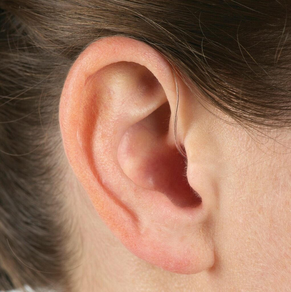 長者-聽力-助聽器