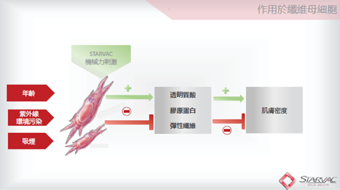 治未病-護膚聖經-美肌教主-肌肉鬆弛