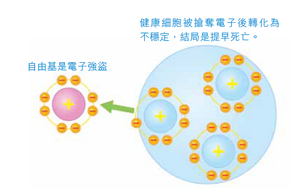 治未病-護膚聖經-美肌教主-防曬-抗曬